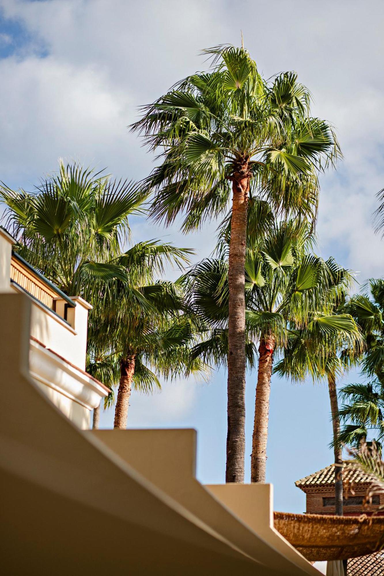 Alcaidesa Boutique Hotel Exterior foto